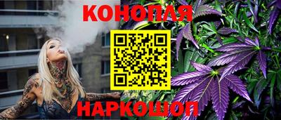 гидра Дубна