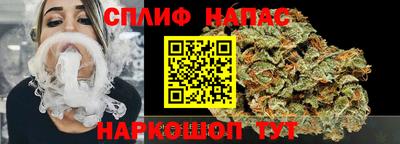 гидра Дубна