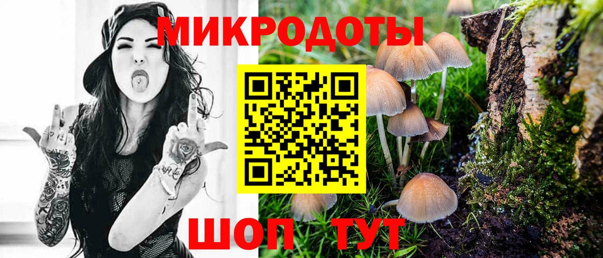 Лениногорск  Псилоцибиновые грибы Psilocybine cubensis  Галлюциногенные грибы GOLDEN TEACHER  Вход с VPN 