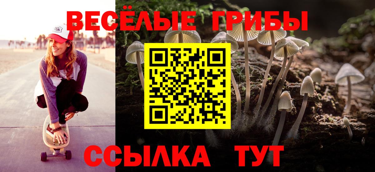 Галлюциногенные грибы Psilocybe Лениногорск